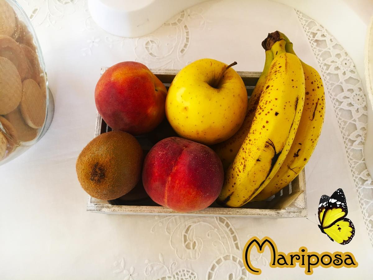 B&B Mariposa 세노리 외부 사진